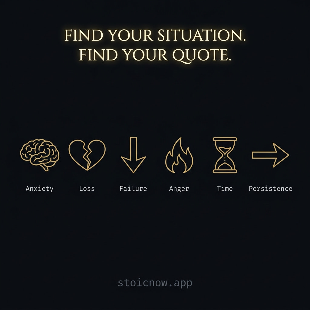 Find your situation, find your quote — six categories of Stoic wisdom